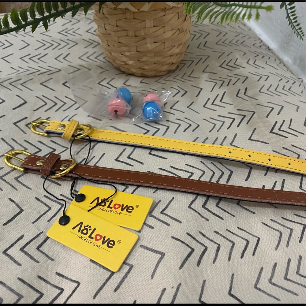 Brown and yellow dog collars with gold accents set of 2